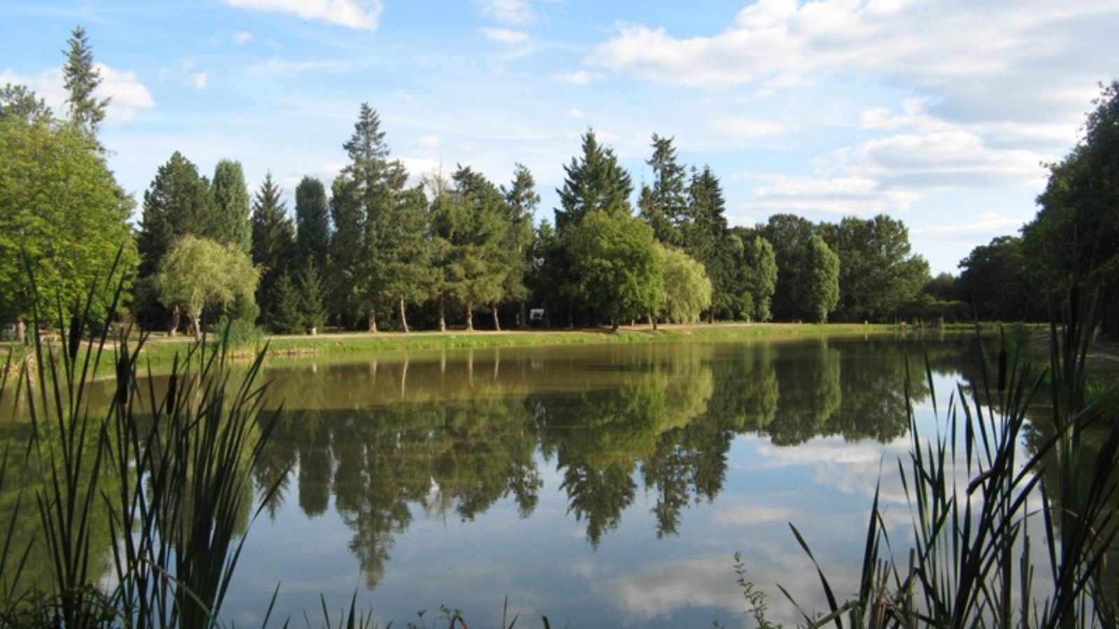 Aire naturelle les farnaults. Crédit photo : © OTSULLY