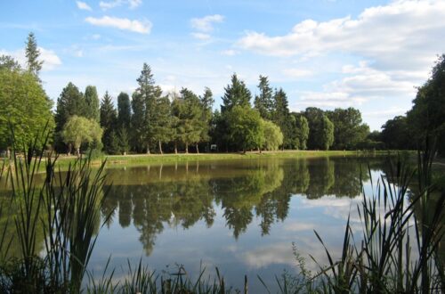 Aire naturelle les farnaults. Crédit photo : © OTSULLY