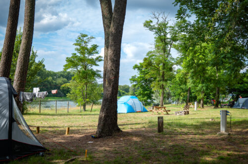 P1108615. Crédit photo : Cindy Ragobert