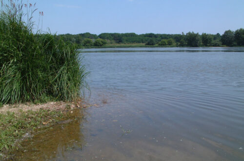 Guilly---IGn-2---2002. Crédit photo : Cen Centre-Val de Loire/I. Gravrand