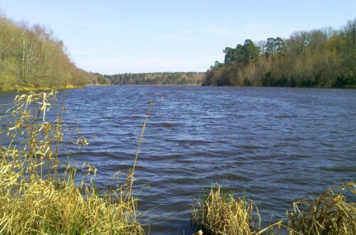 Etang du Ravoir. Crédit photo : © F. Maret