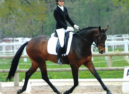 ASAM. Crédit photo : ASAM