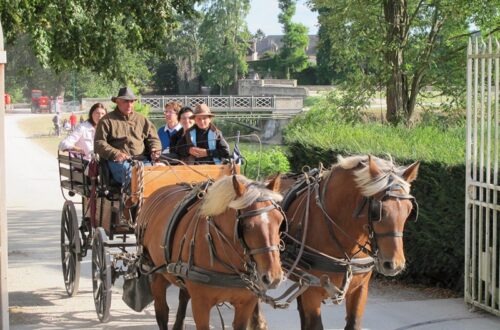 Attelages du Château 01. Crédit photo : © OTSULLY