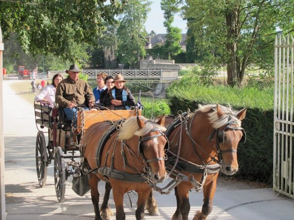 Attelages du Château 01. Crédit photo : © OTSULLY