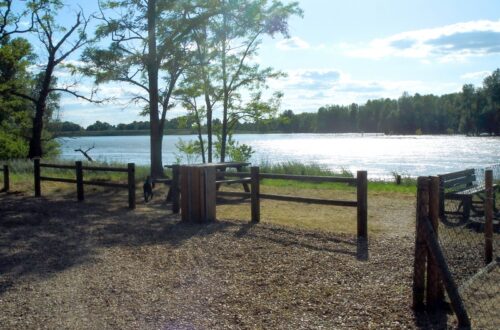 Camping Le Port_Saint Benoit sur Loire (6)_WEB. Crédit photo : Camping Le Port