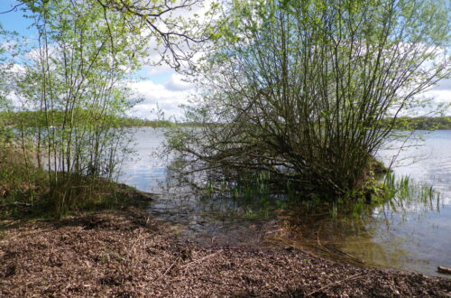 Etangs du Puits _ Cerdon. Crédit photo : CD45