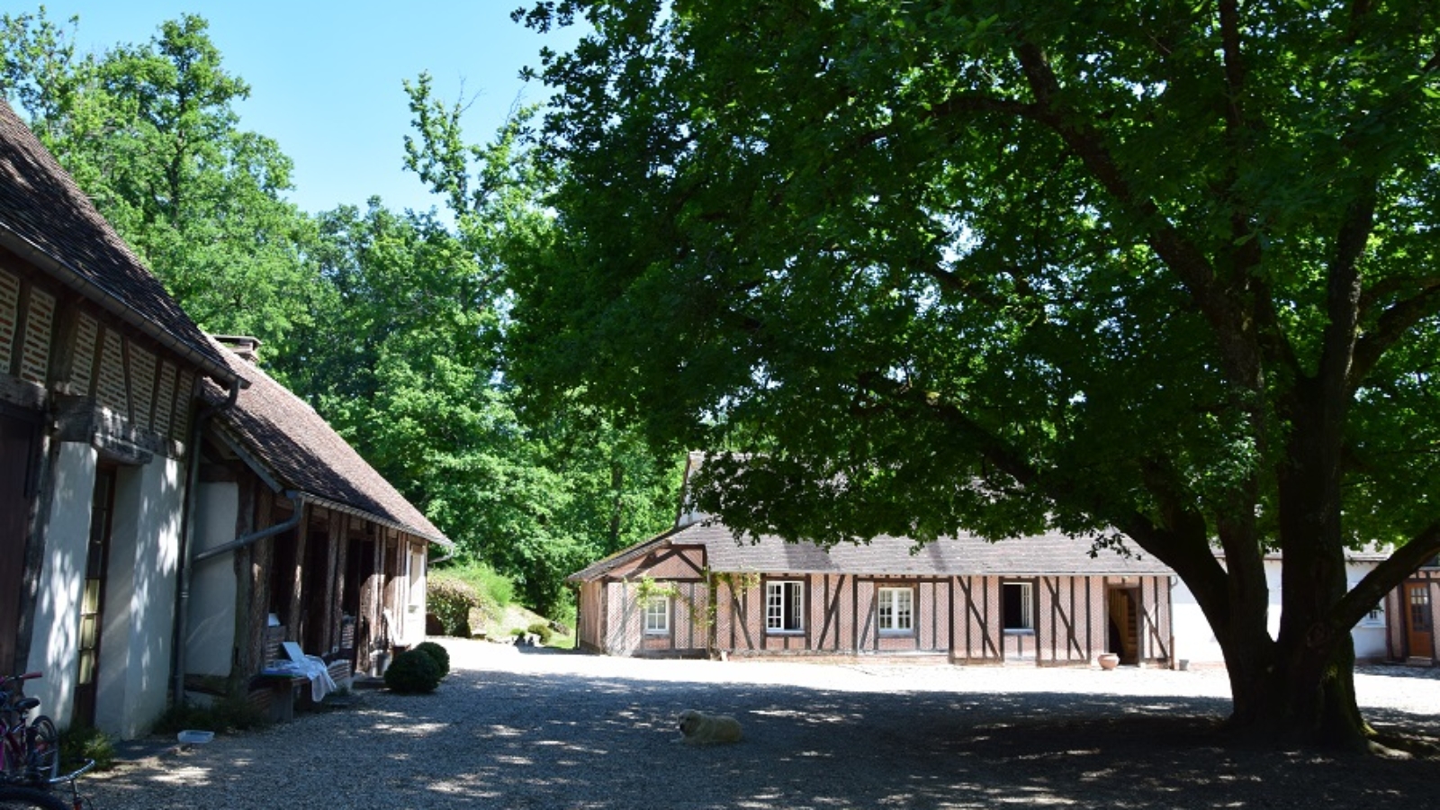 Cerdon - Les Vieux Guays mai 2020 (80). Crédit photo : OT