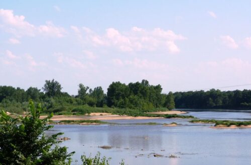 Site naturel de Benne. Crédit photo : F. Maret