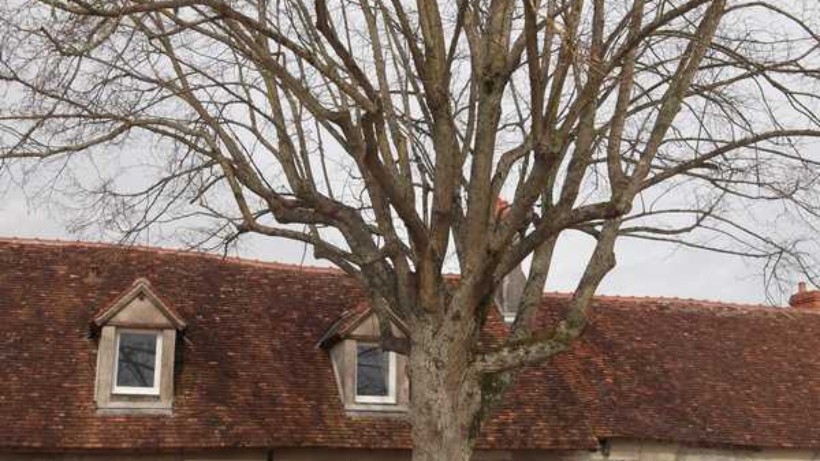 Gîte extérieur. Crédit photo : Les Guérets
