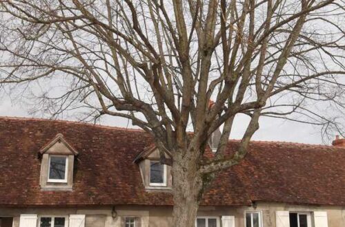 Gîte extérieur. Crédit photo : Les Guérets