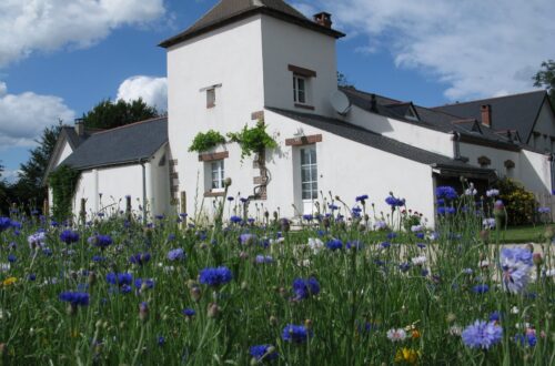 HLOCEN045V501SYA_1. Crédit photo : Gîtes de France ® Loiret