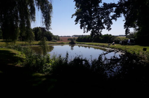 BRAY-EN-VAL---Etang-de-la-Roderie. Crédit photo : Office de Tourisme Val de Sully