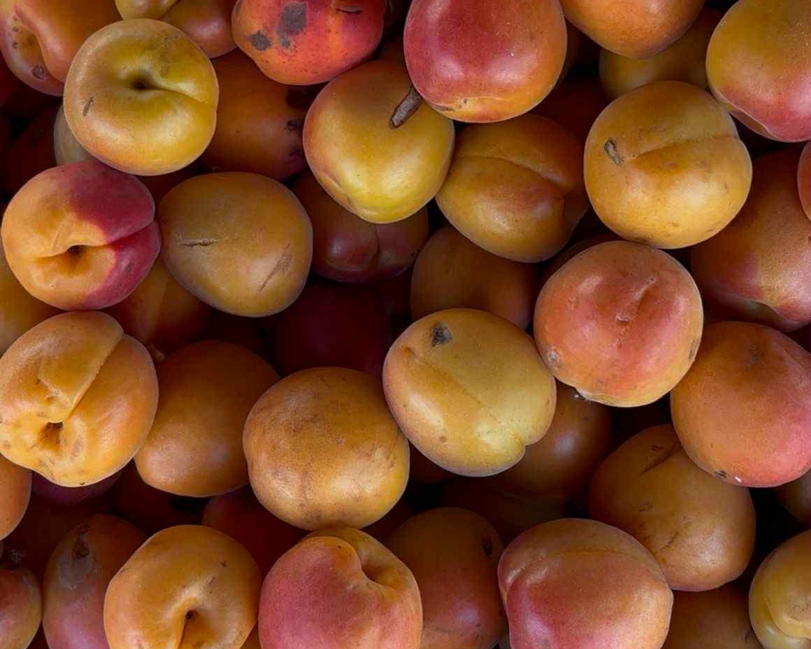 marché de Sully sur Loire (2). Crédit photo : JB