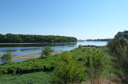 P1080924. Crédit photo : © Tourisme Loiret