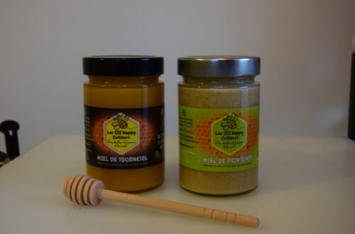 Les ZZZApiculteurs (17). Crédit photo : Léana Scoquart