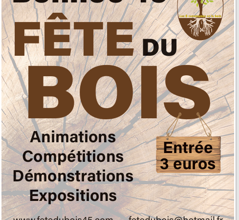 téléchargement. Crédit photo : asssociation la fête du bois du val de sully