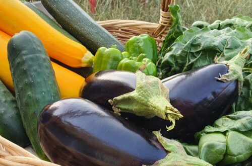 Légumes. Crédit photo : potager cormier