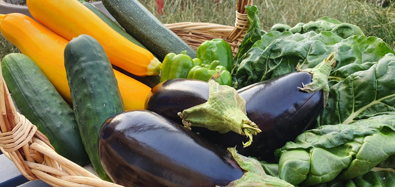 Légumes. Crédit photo : potager cormier