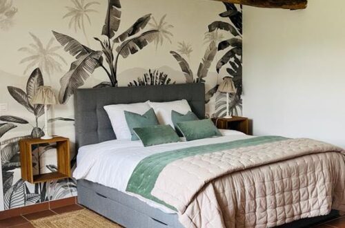 ch double (1). Crédit photo : N Min