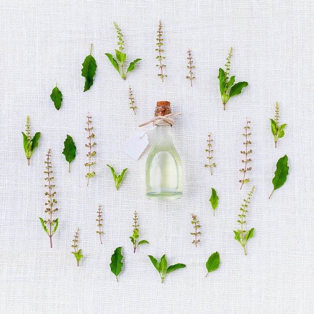 plantes medicinales. Crédit photo : pixabay