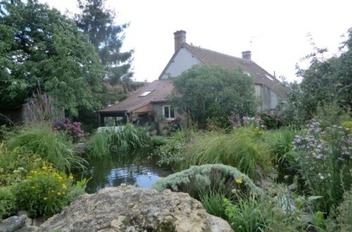 Les Clématites. Crédit photo : Martine Poggi