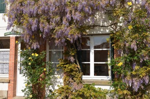 HLOCEN045V50D2X4_1. Crédit photo : Gîtes de France ® Loiret