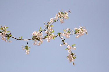 thumb (2). Crédit photo : CC Val de Sully