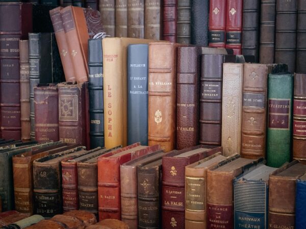 Bourse aux livres _analogicus. Crédit photo : analogicus
