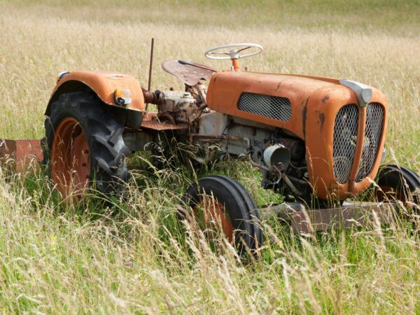 DSC-1120. Crédit photo :