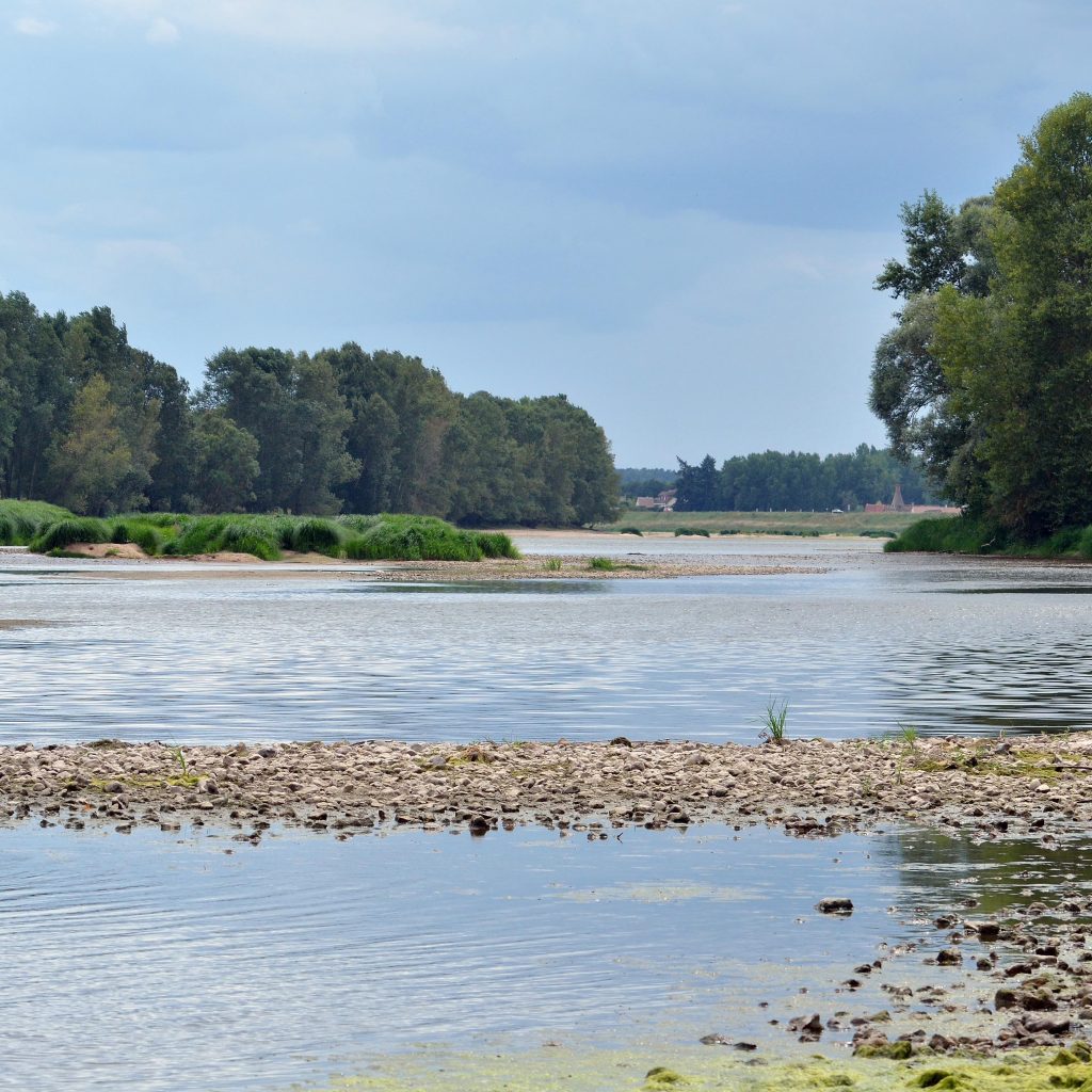 Paysage sauvage de la Loire près de Sully-sur-Loire avec bancs de sable et forêts verdoyantes à Guilly.