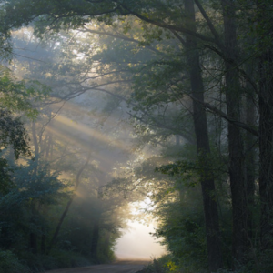 Cr. Benoist Quintard