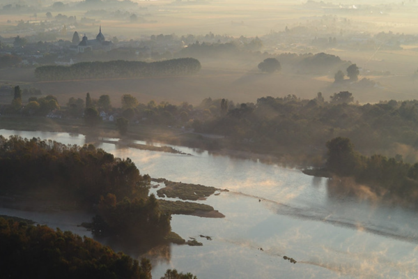 La Loire et ses oiseaux migrateurs