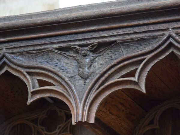 38-Chauve qui peut_pas de copyright. Crédit photo : NC