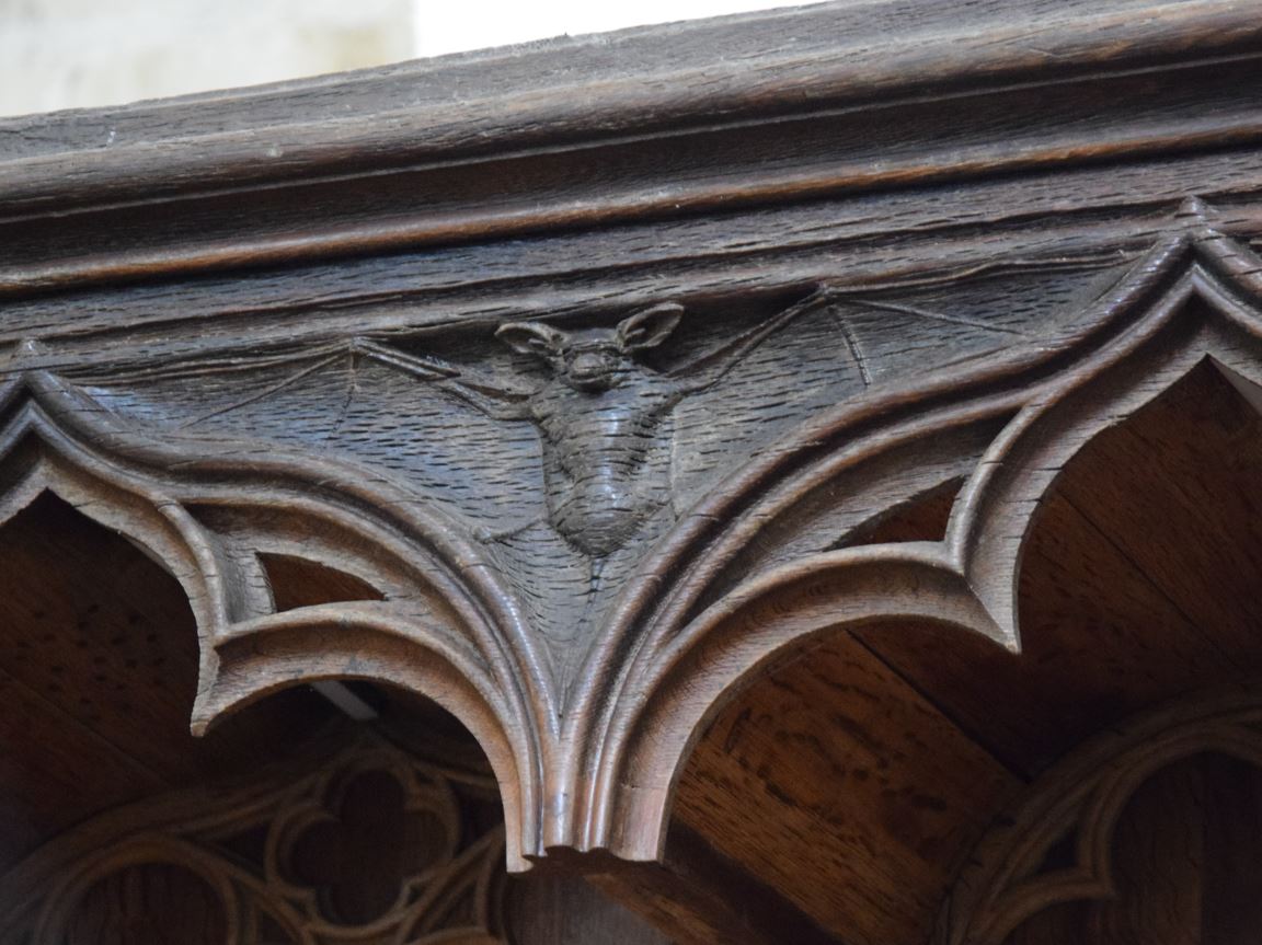 38-Chauve qui peut_pas de copyright. Crédit photo : NC